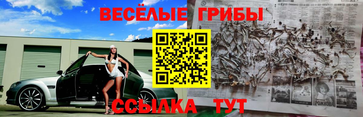 Псилоцибиновые грибы Psilocybe  Галлюциногенные грибы мухоморы  Вход с VPN  Ярцево 